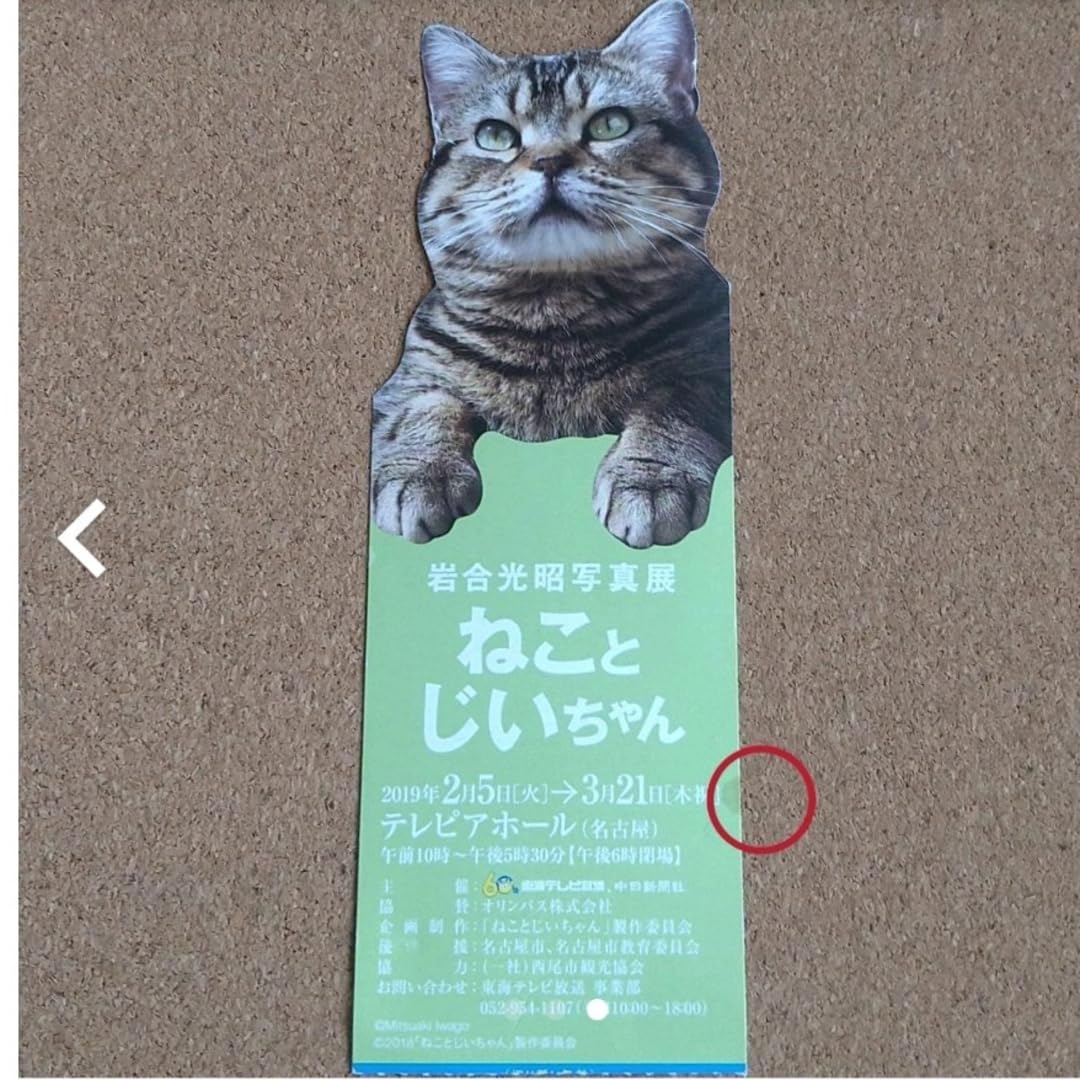 Amazon | 落合光昭 ねことじいちゃん ポストカード | ポスト